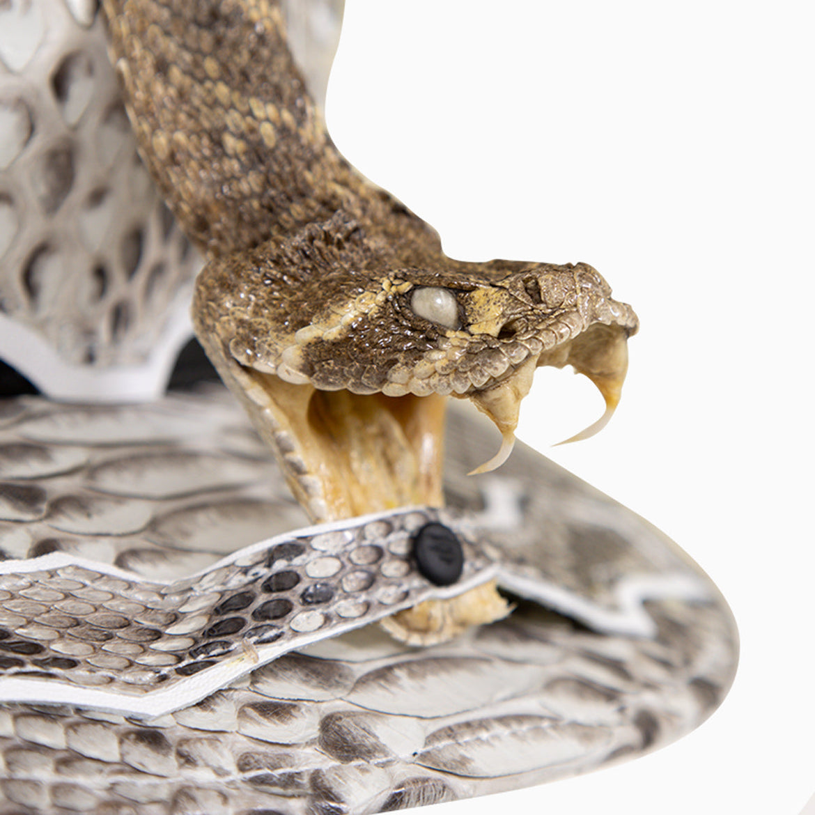 Snake Skin Hats: Bold & Unique Headwear for Trendsetters 